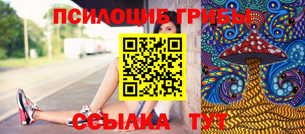 Галлюциногенные грибы прущие грибы Кыштым